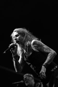 Portorosˇke nocˇi 2024, HORNETS-8